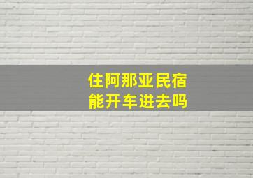 住阿那亚民宿 能开车进去吗